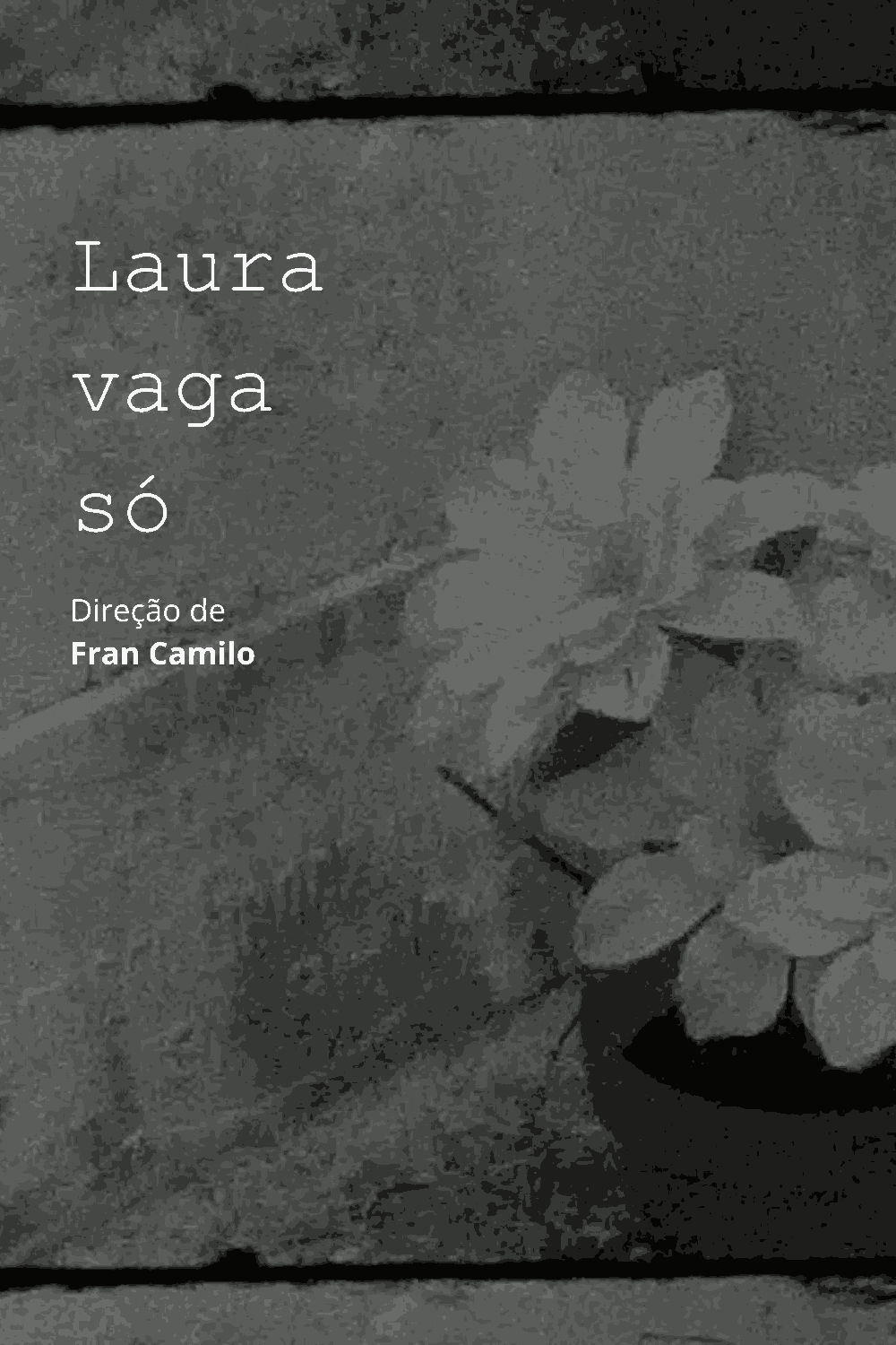 Capa do filme Laura Vaga Só